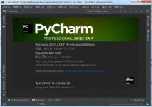 PyCharm 2020.1 汉化便携增强版下载