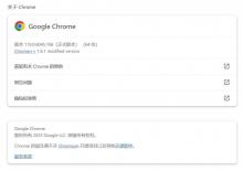 Chrome谷歌浏览器119.0.6045.106绿色便携版