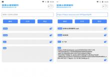 蓝奏云直链解析工具v1.0君常笑版下载