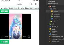 抖音/快手/微视等多平台短视频去水印小程序示例源码下载