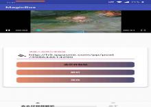 MagicBox视频去水印+视频解析工具