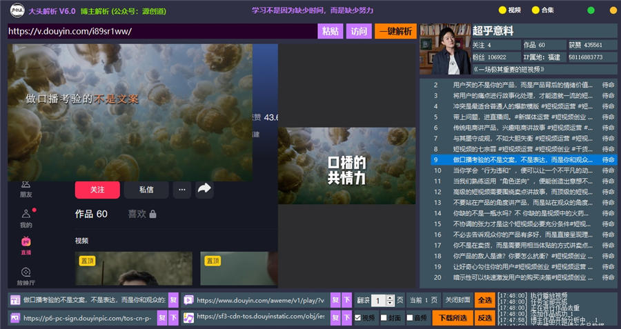 大头解析v6.0,抖音视频去水印解析工具