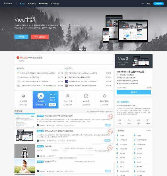 Vieu自适应企业风格博客主题模板V4.5